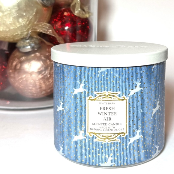 FRESH WINTER AIR 3 Wick Candle - Picture 1 of 3